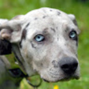 Meet your Posher, Leslie